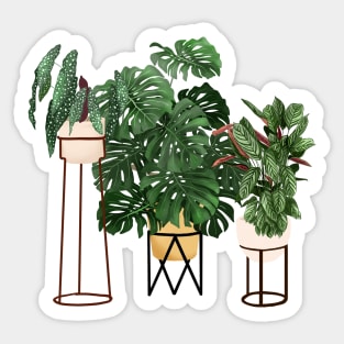 Potted Plants 12 Sticker